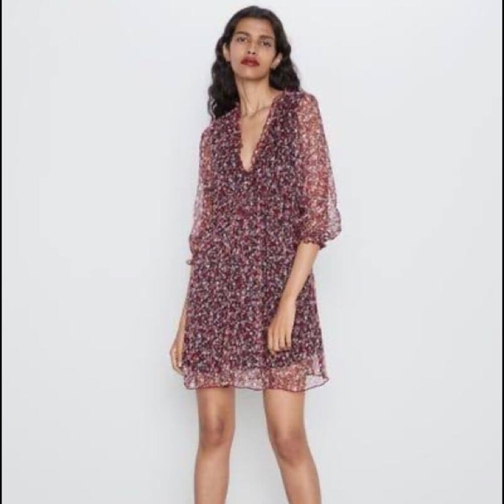 Zara Floral V-Neck Ruffle Chiffon Mini Maroon/Black Long Sleeve Babydoll Dress